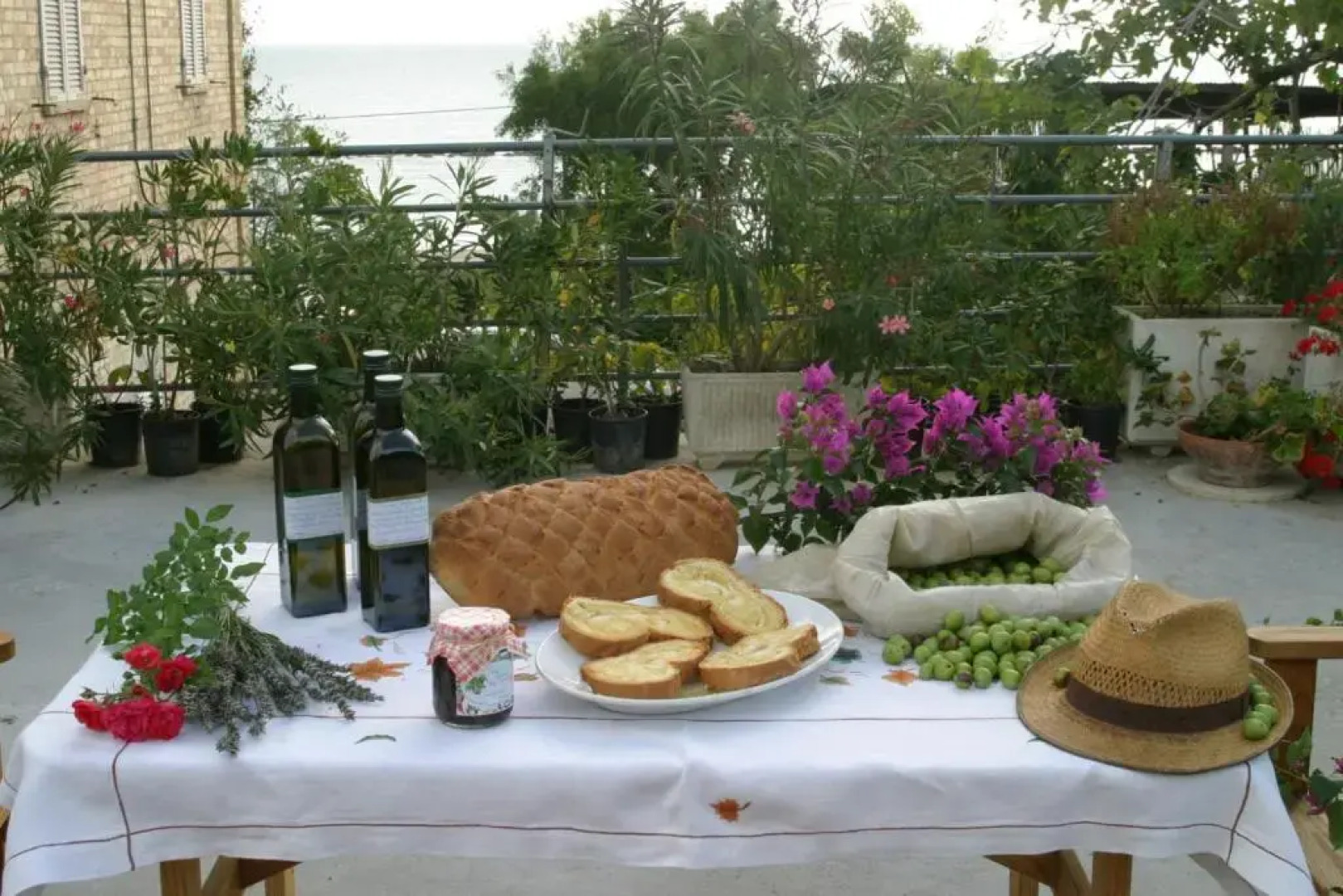 Bio Agriturismo Mare in Campagna