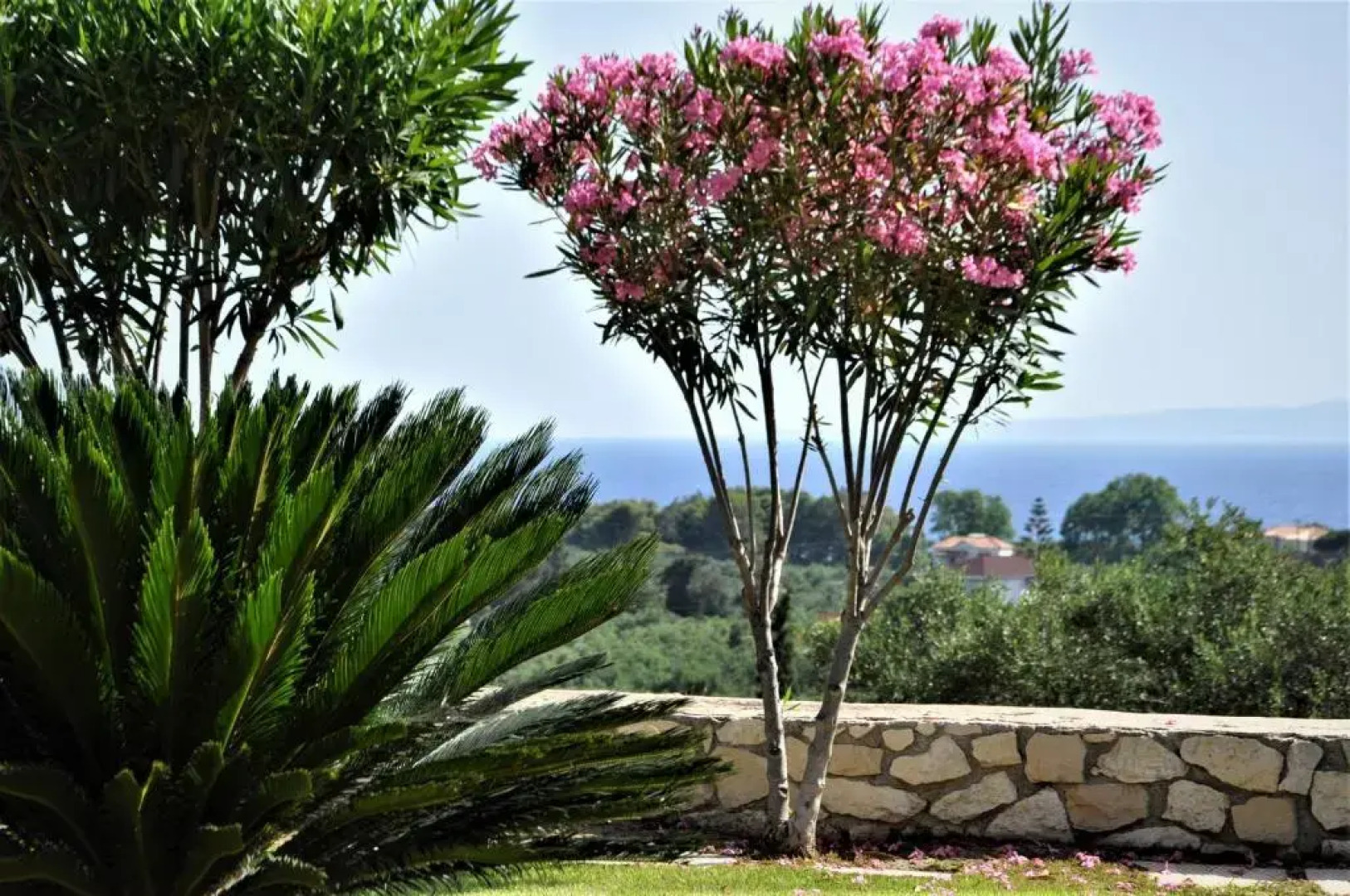 Villa Belvedere - 4 bedrooms Sea view House