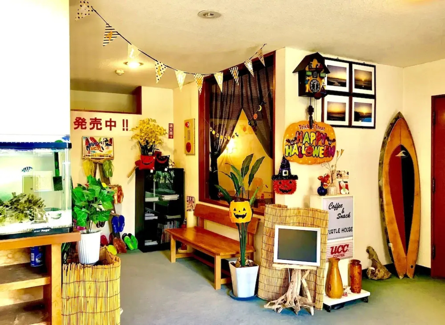 Resort Pension Turtle House