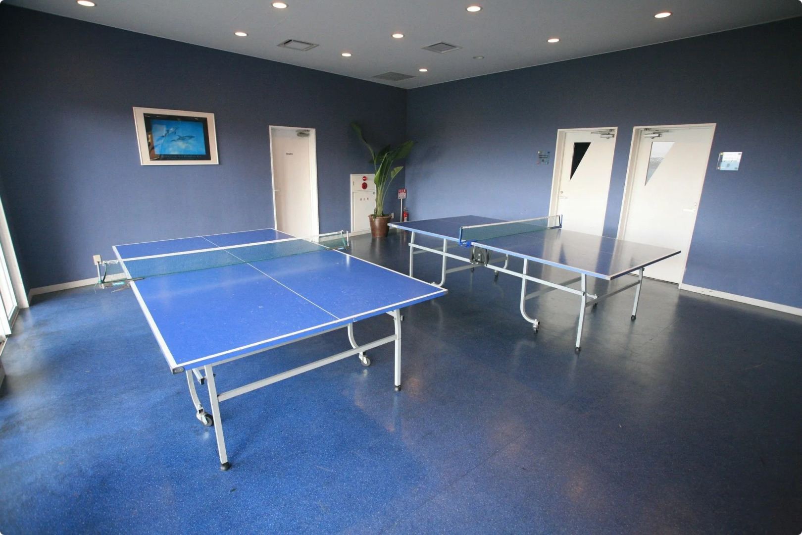 Marine Piazza Okinawa