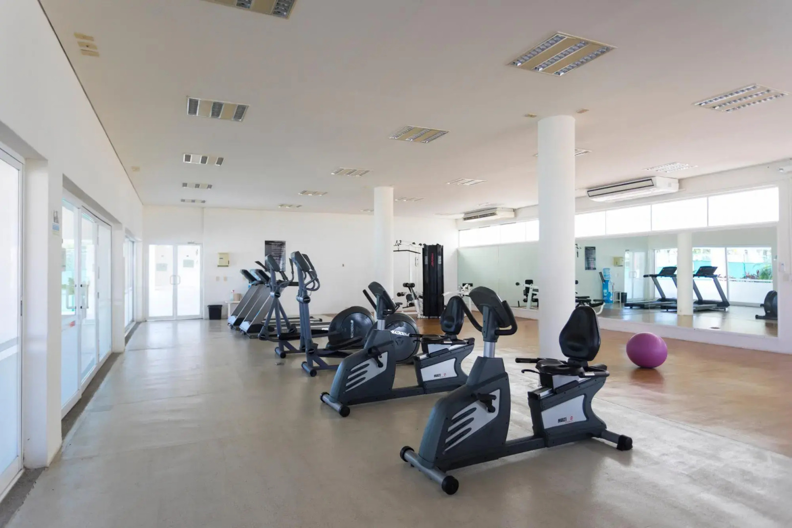 Flamingos Conchas 502