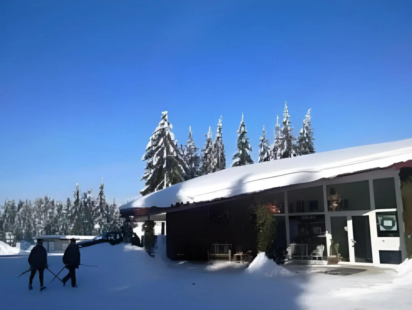 Waldhotel Rennsteighöhe