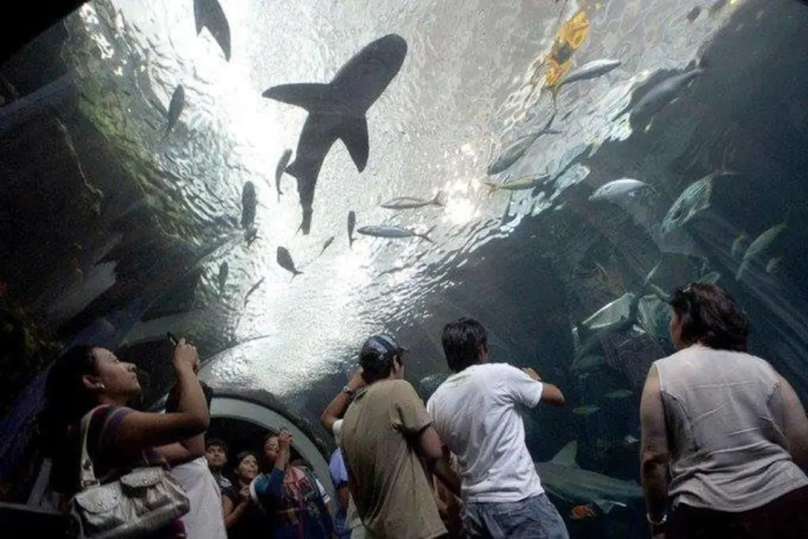 Hotel Maria del Rocio