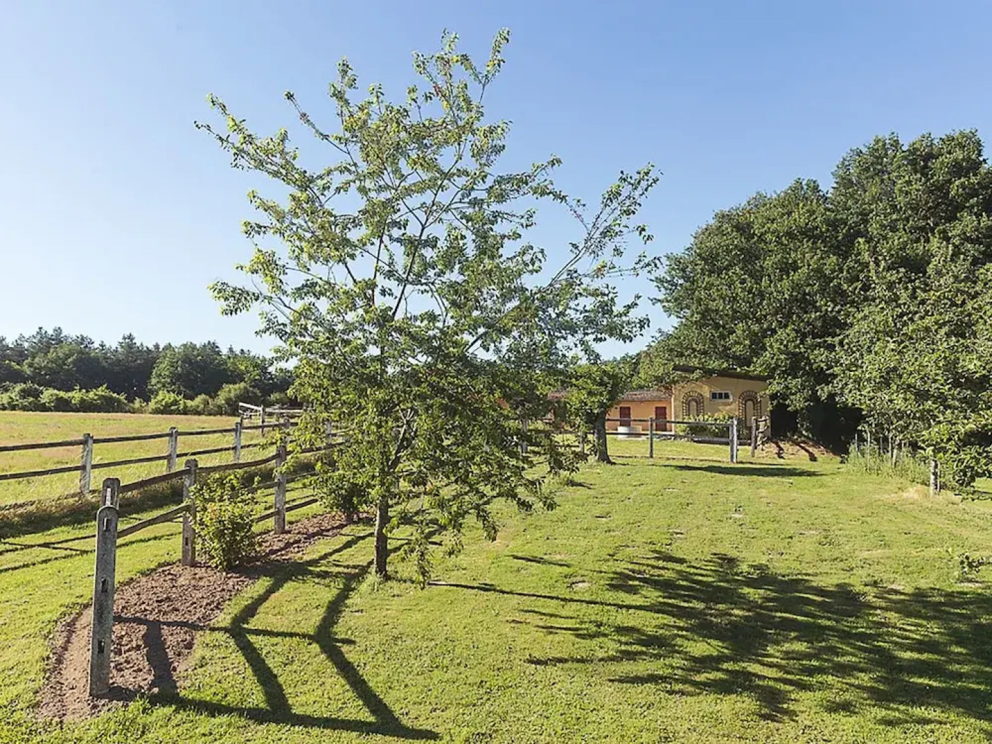 Gorgeous Manor With Private Heated Swimming Pool, in the Heart of an oak Forest