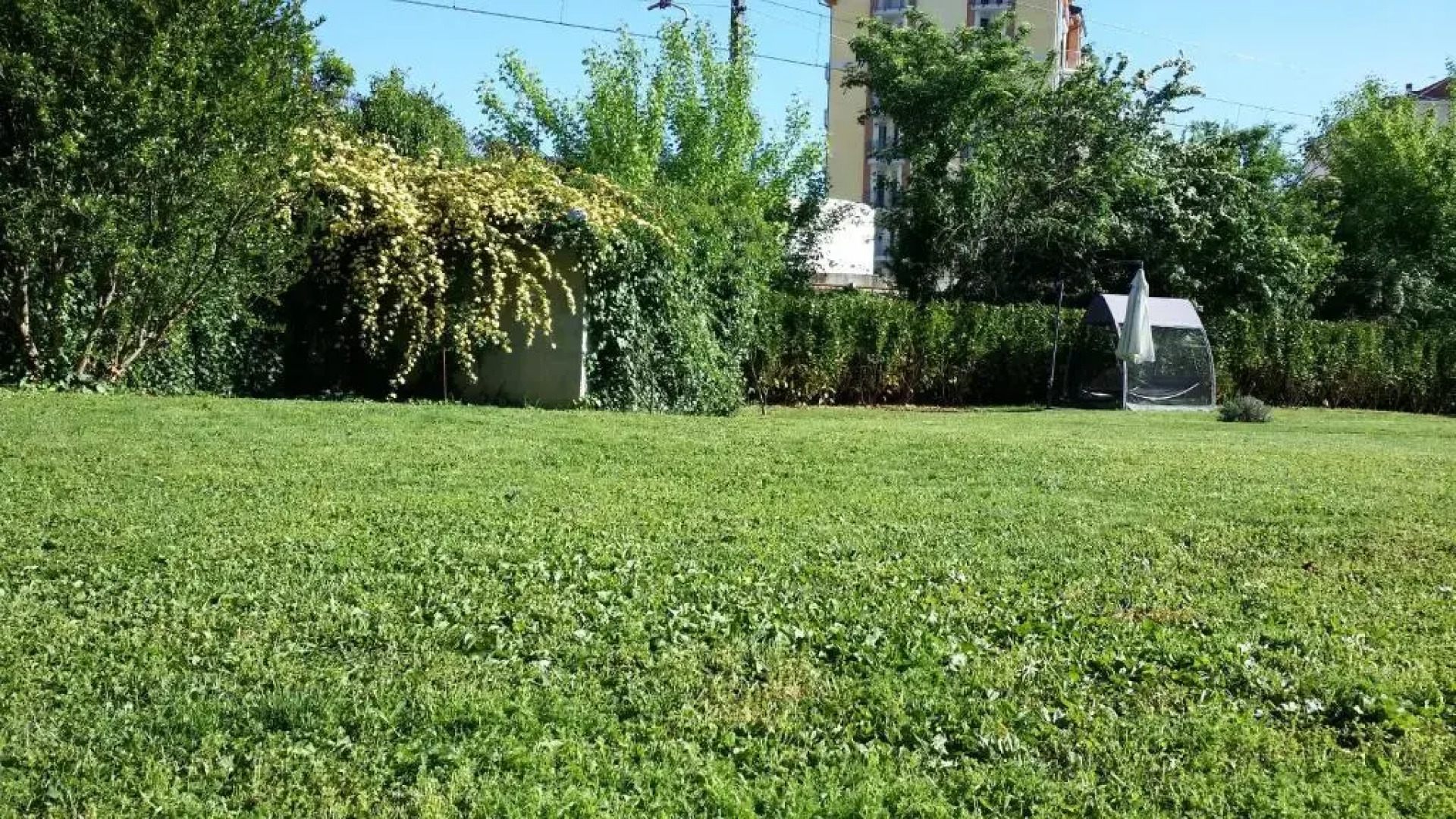 Casa di Sissy - Zona Villa Igea CIR 00600100001