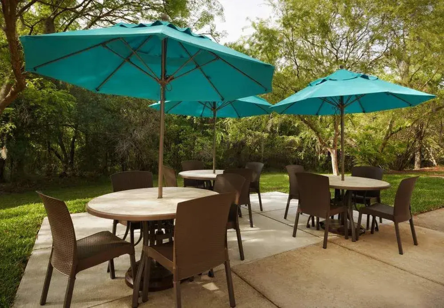 TownePlace Suites Tampa North/I-75 Fletcher