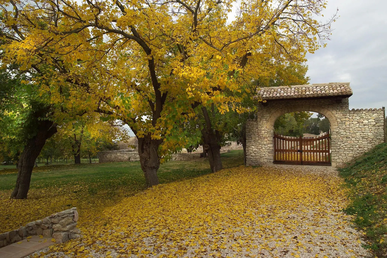 Borgo della Marmotta - Farm Home