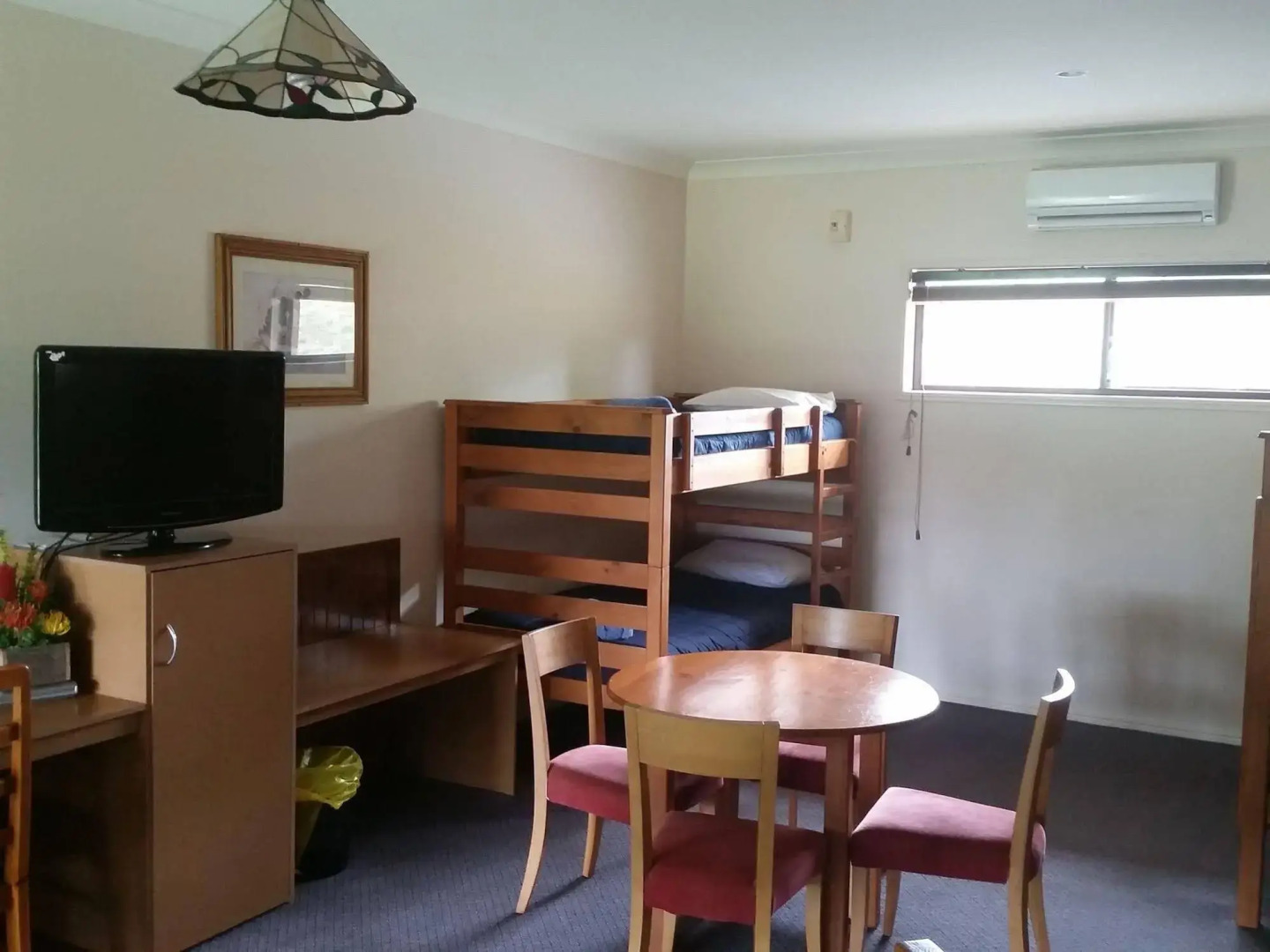 Bearded Dragon Tamborine Country Lodge