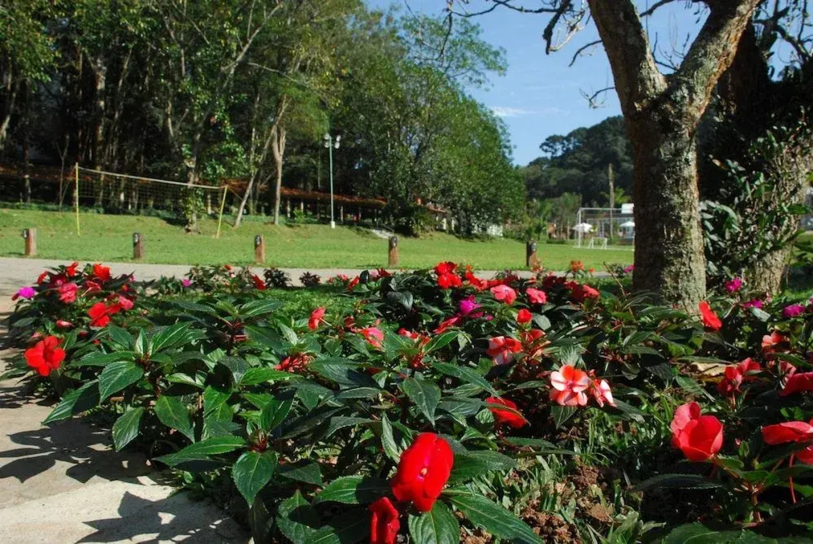 Hotel Rancho Silvestre