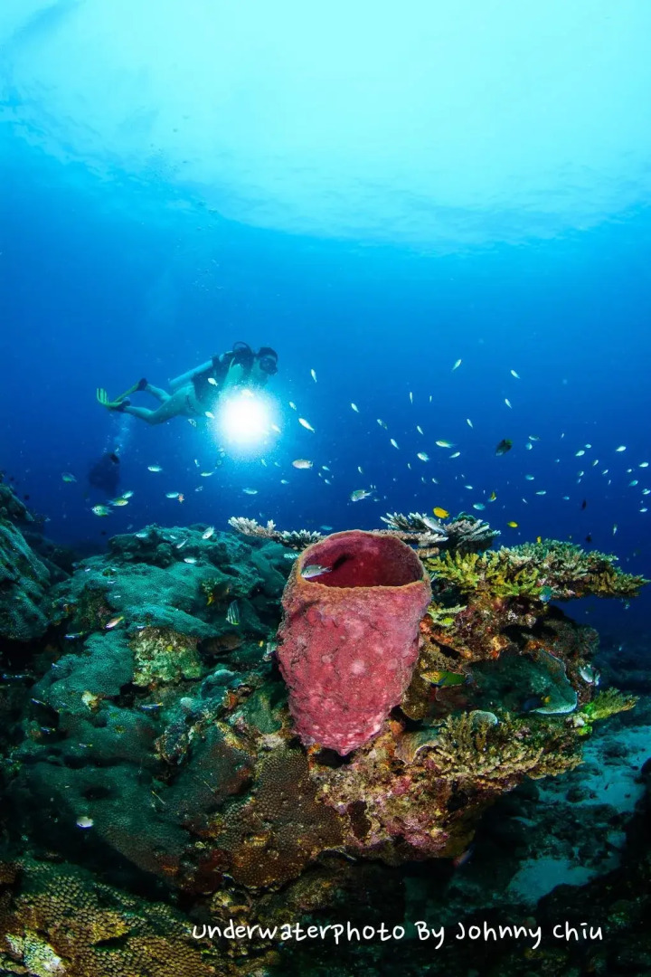 Summer Bay Resort, Lang Tengah Island