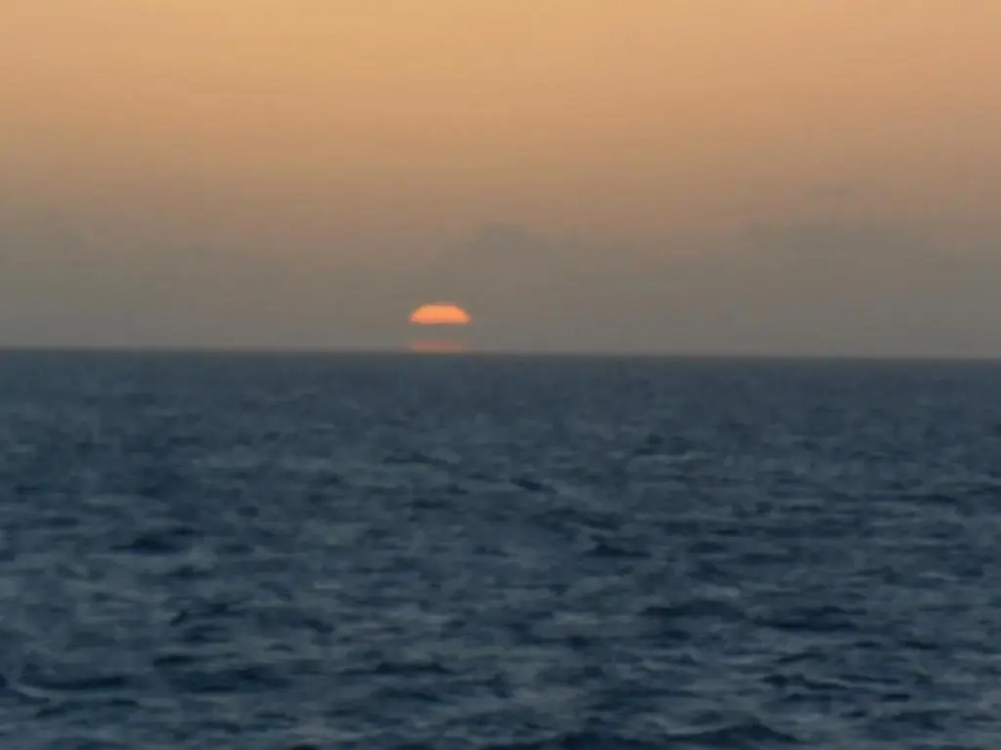 Tropical Fruit Garden