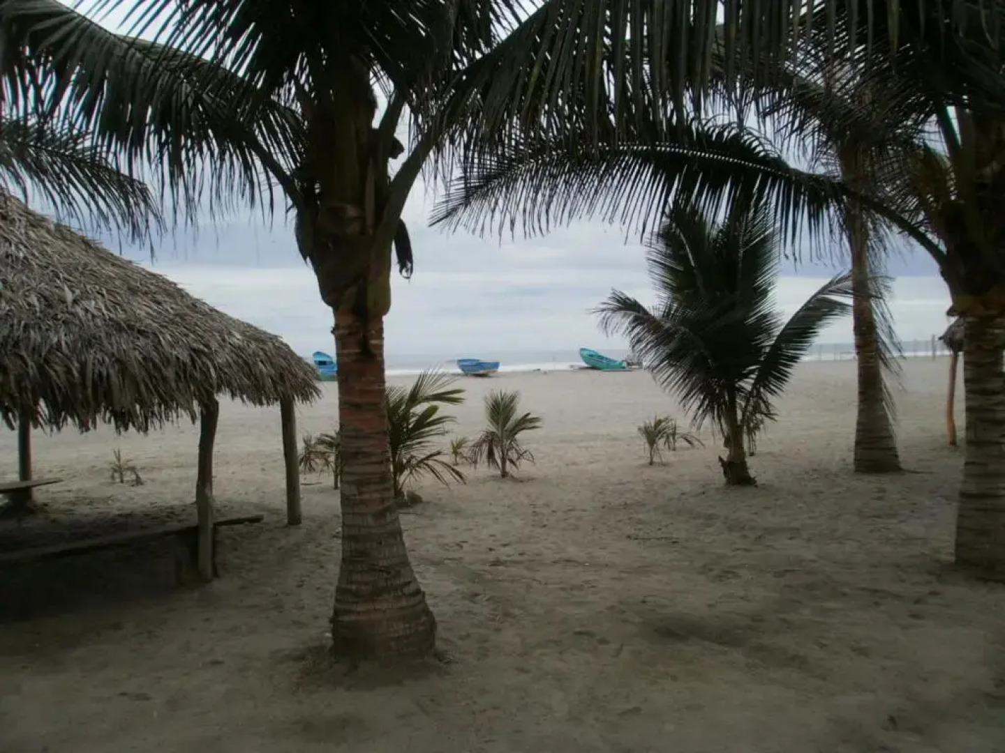 Margaritas Palace Hotel