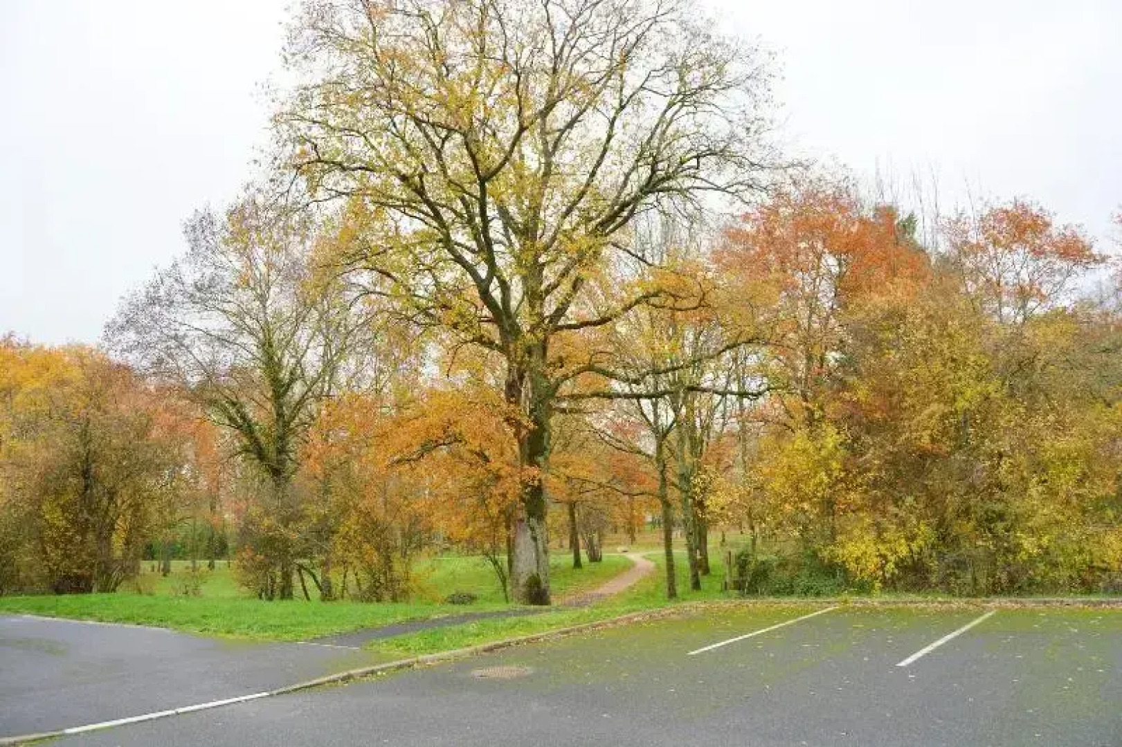 Zenao Appart Hotel Yzeure