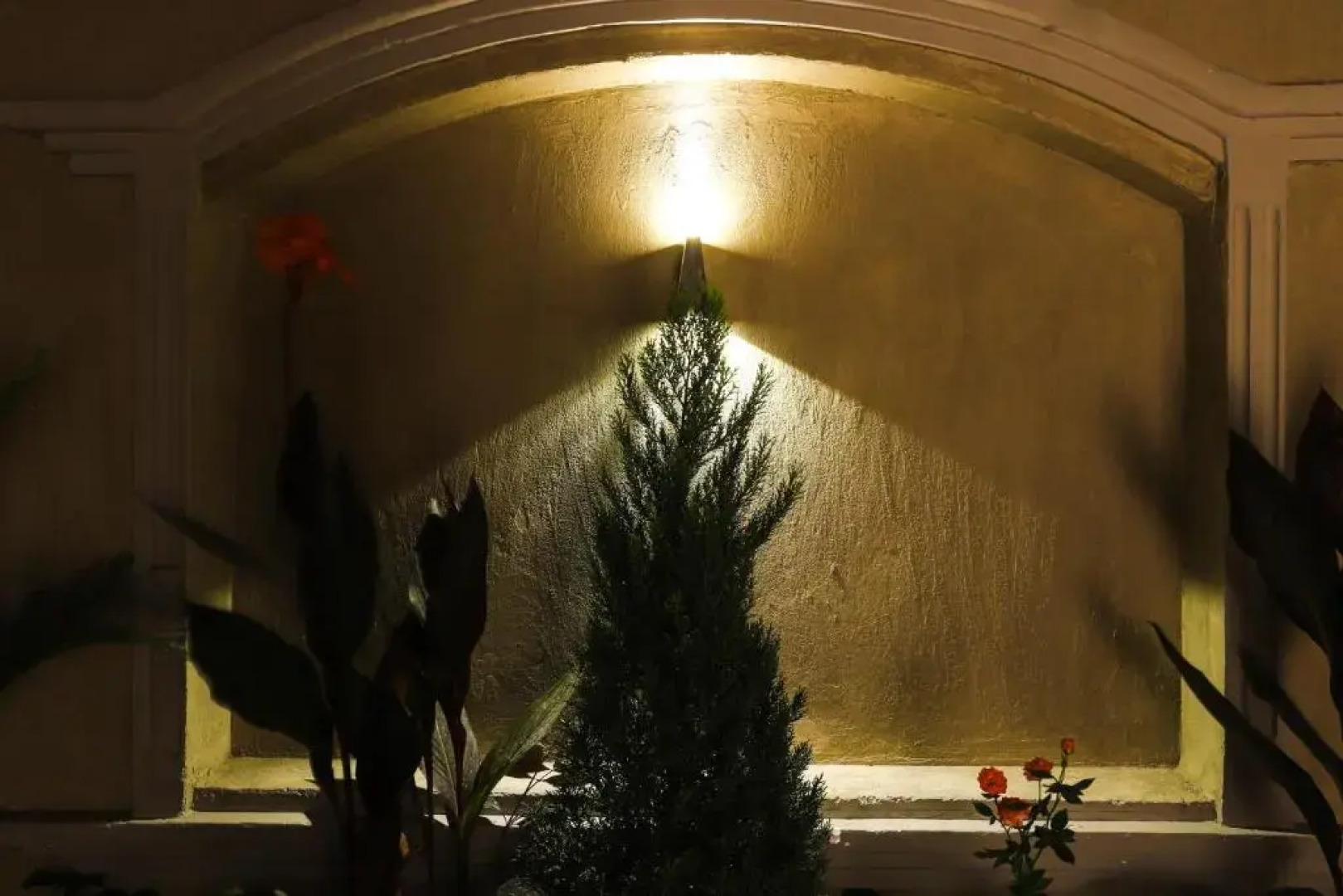 NewCity Suites & Apartments