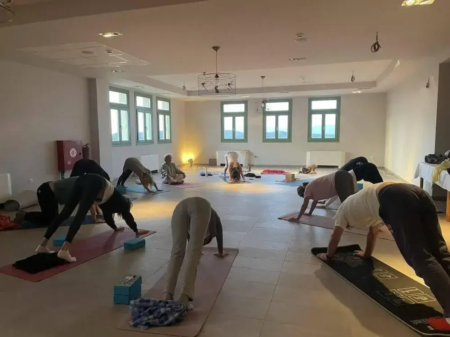 Foresta in Medias Mores