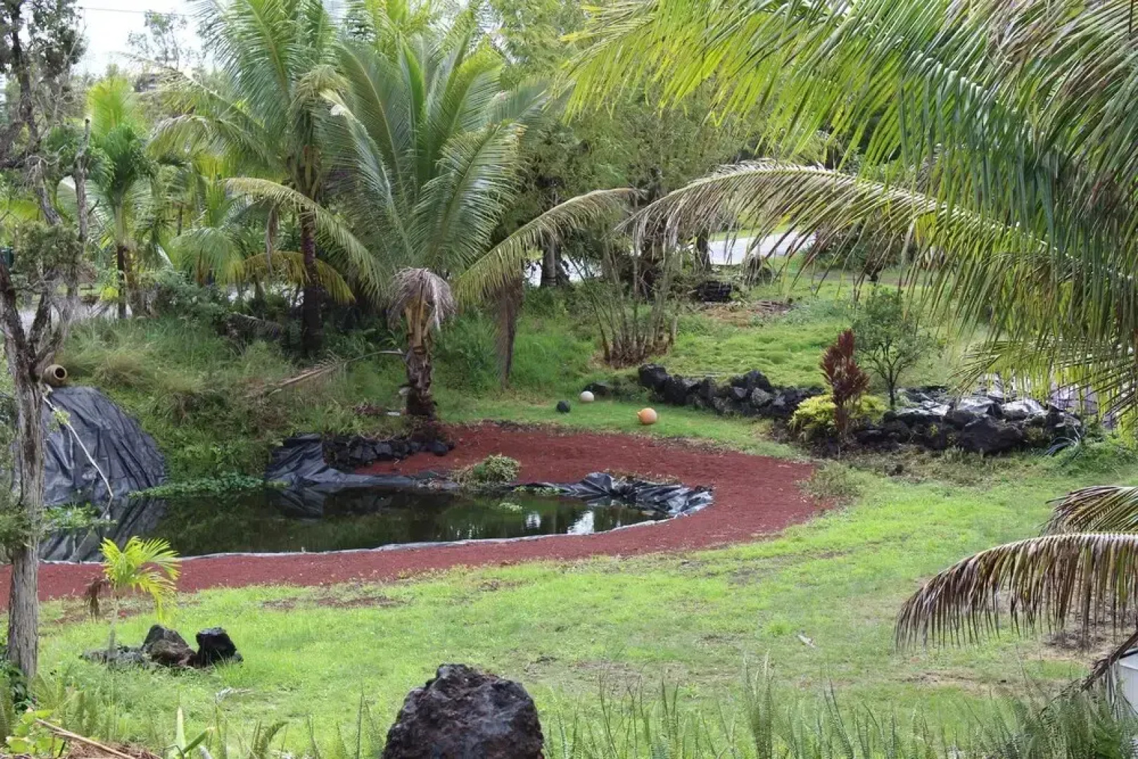 Sweet Spot Stay - Tikis and Treetops