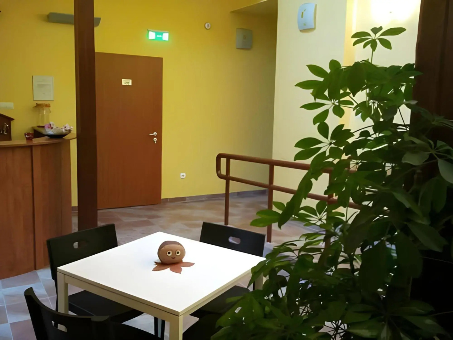 Vadgesztenye Youth Hostel