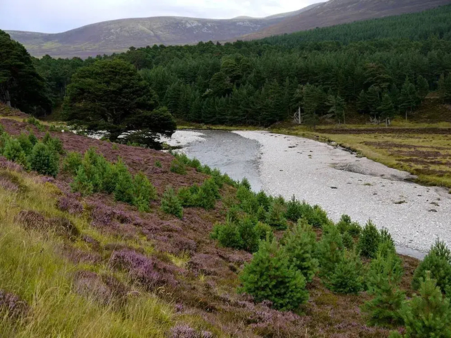Stunning 3-bed Cottage in the Village of Tomintoul