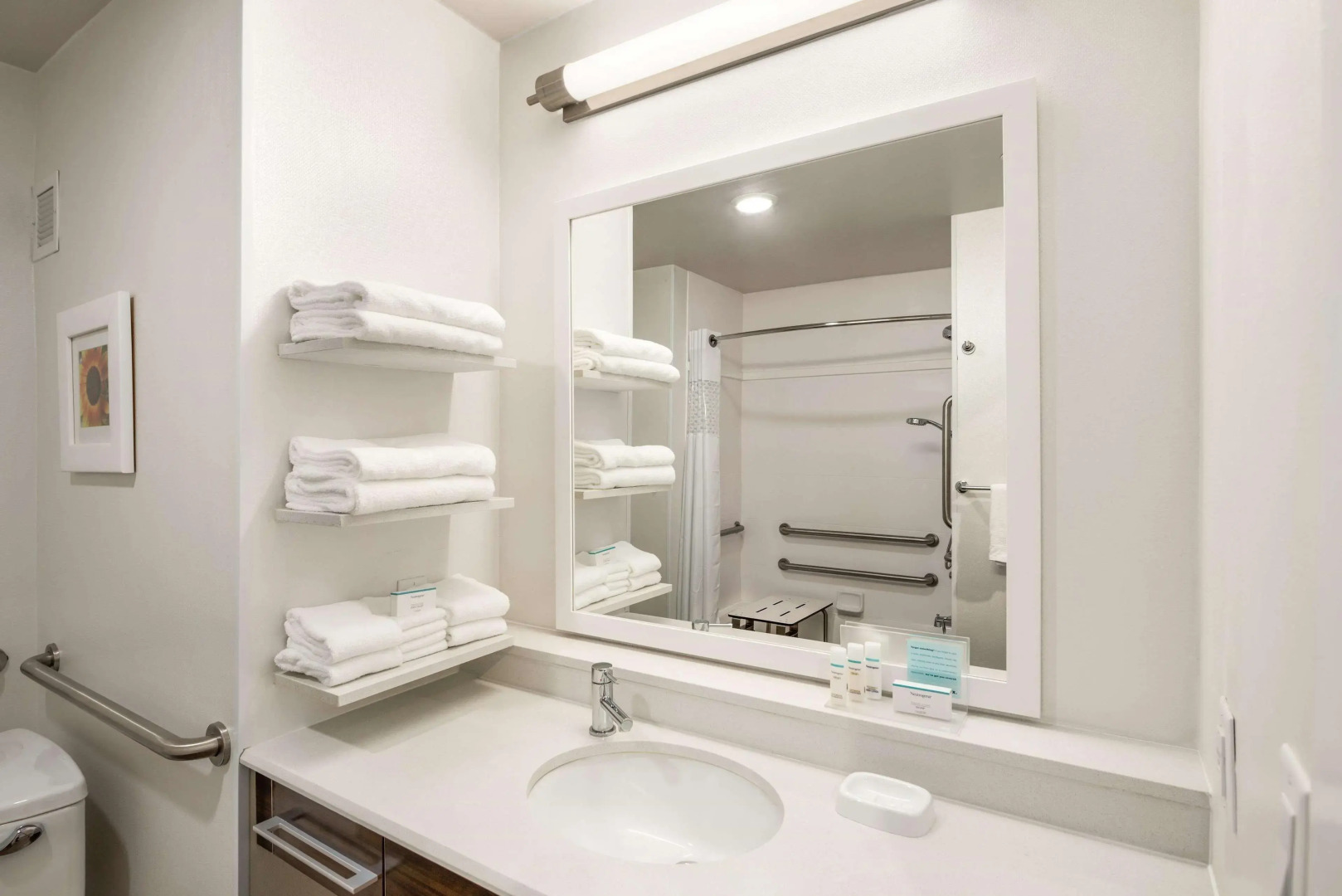 Hampton Inn & Suites Lavonia