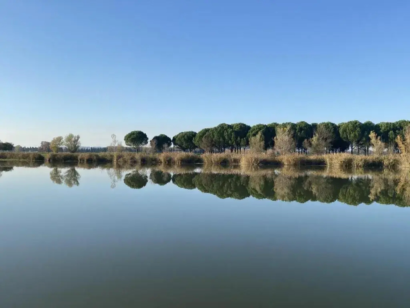 Mas la Pauline Gîtes de charme & roulotte