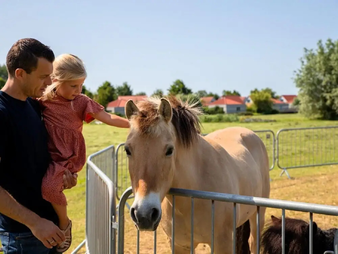 Detached Holiday Home With Jetty Near Hoorn