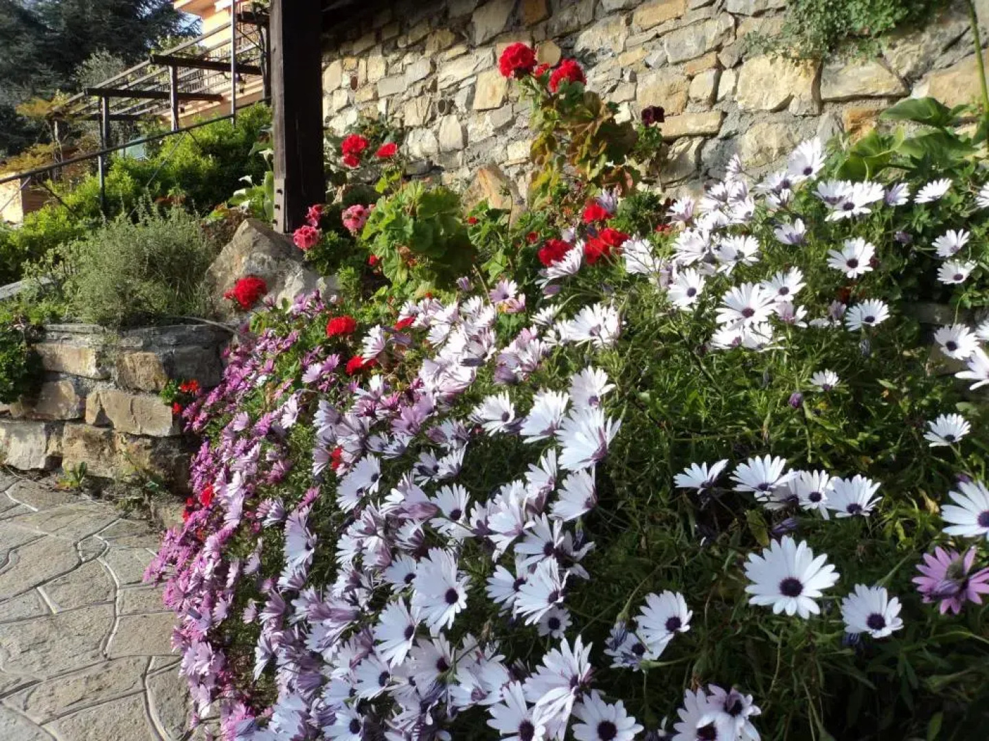 B&B La Mimosa del Golfo