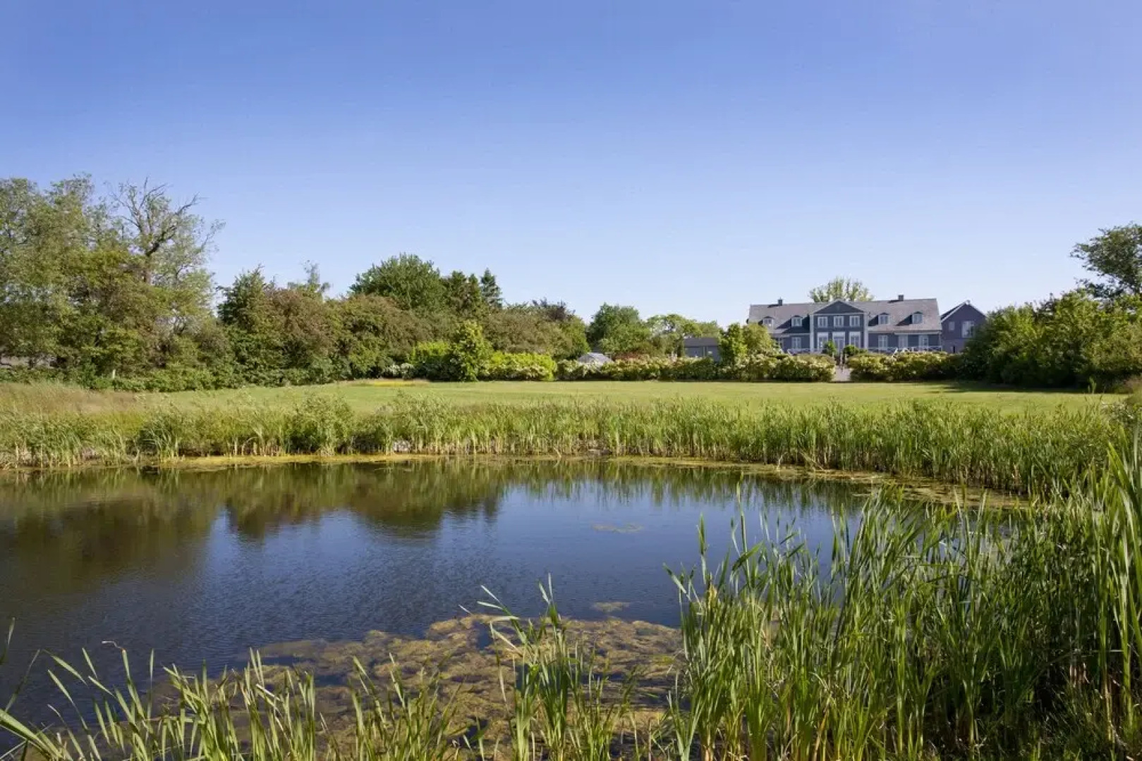 Holberggård - Gastronomi og Konference