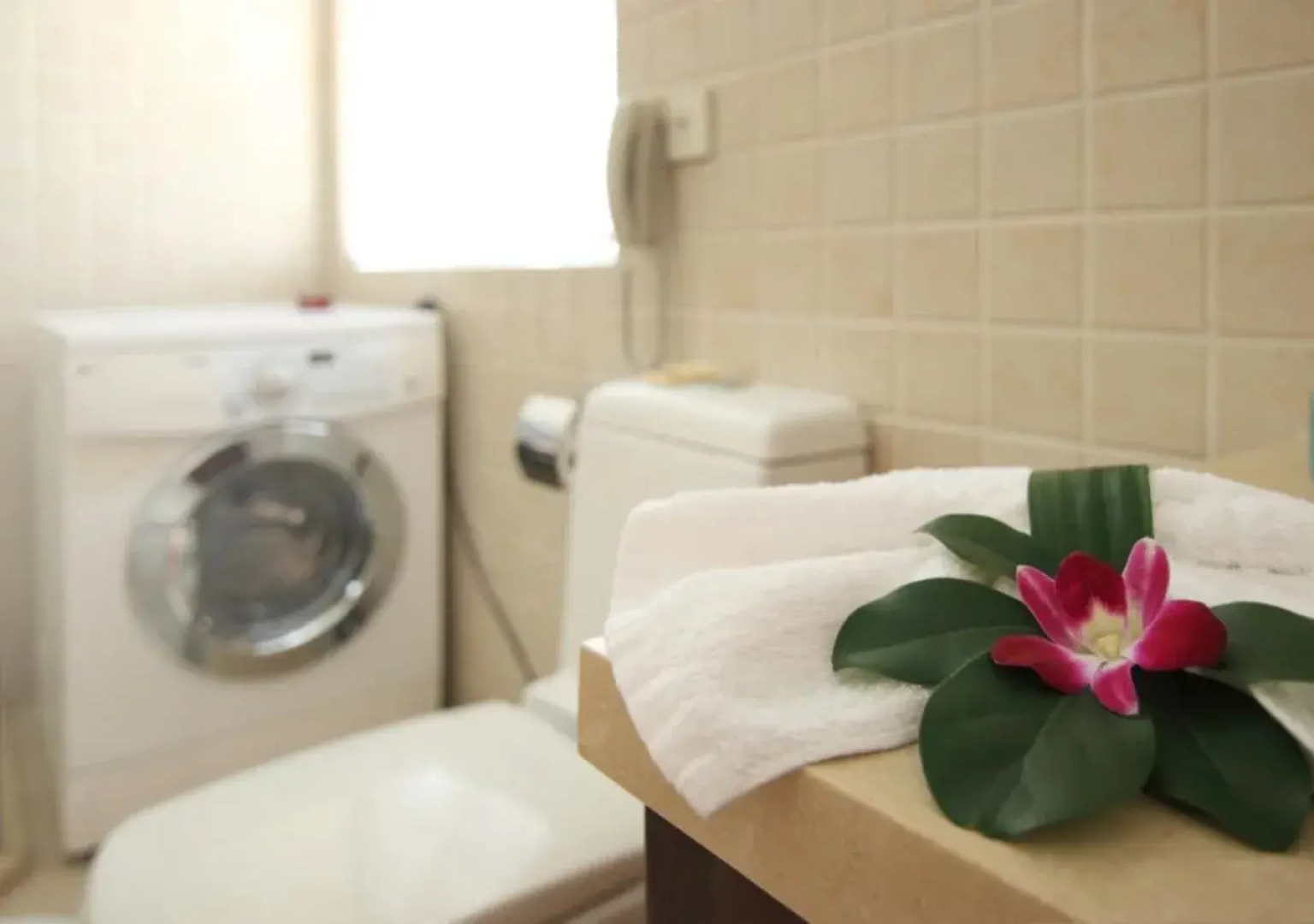 Portofino International Apartment