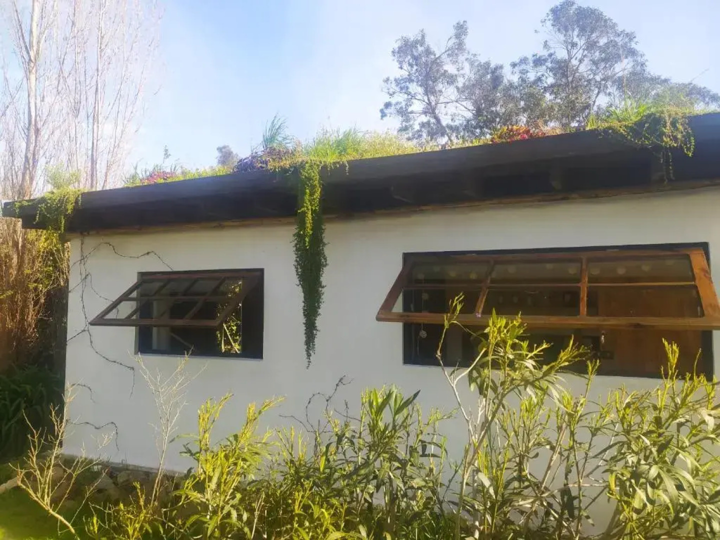 Cálido bungalow 1- La Locanda casitas vivas -