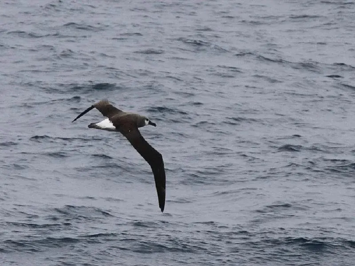Cape Bridgewater Seaview Lodge