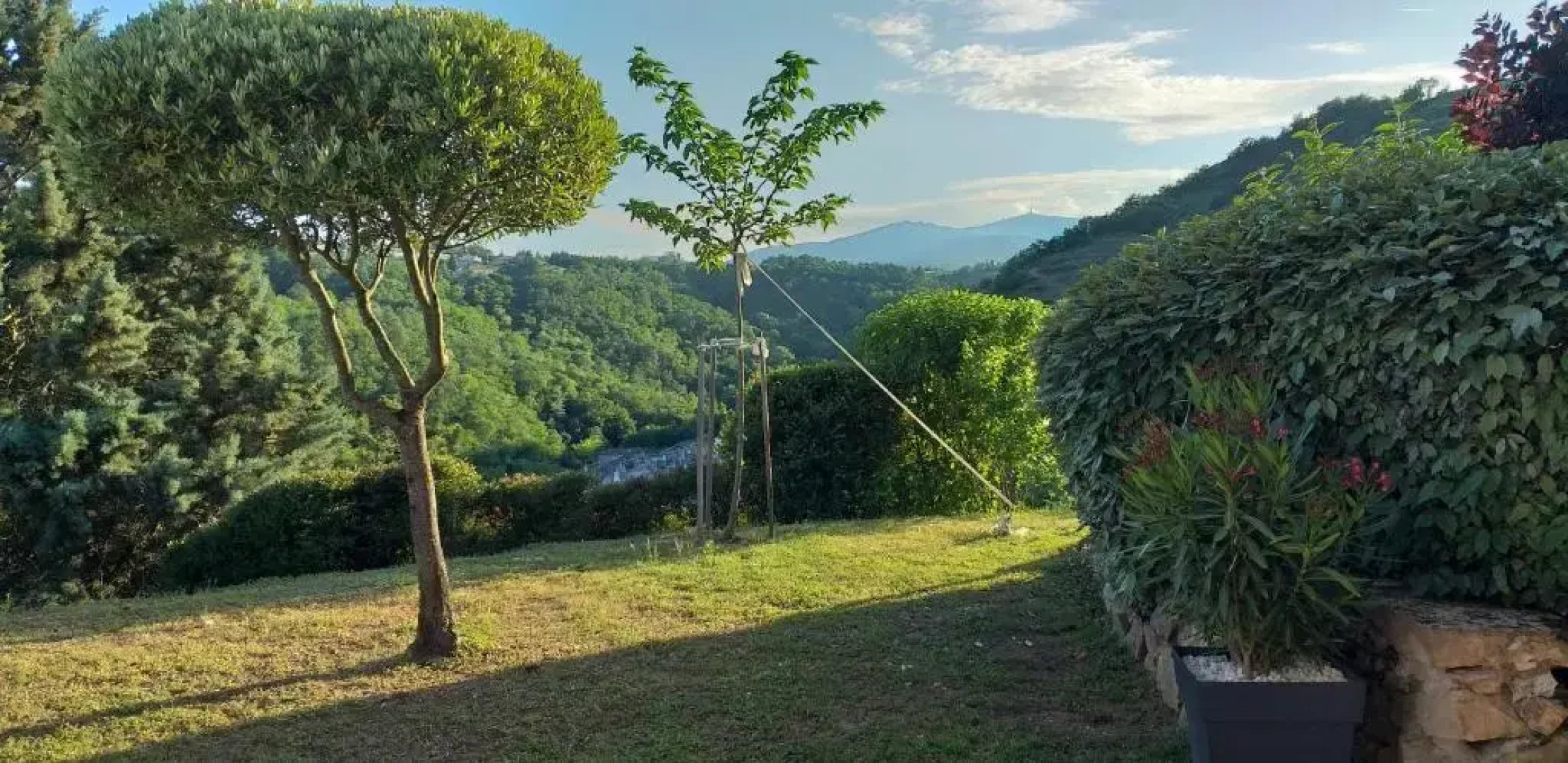 Wine Passion Panoramic