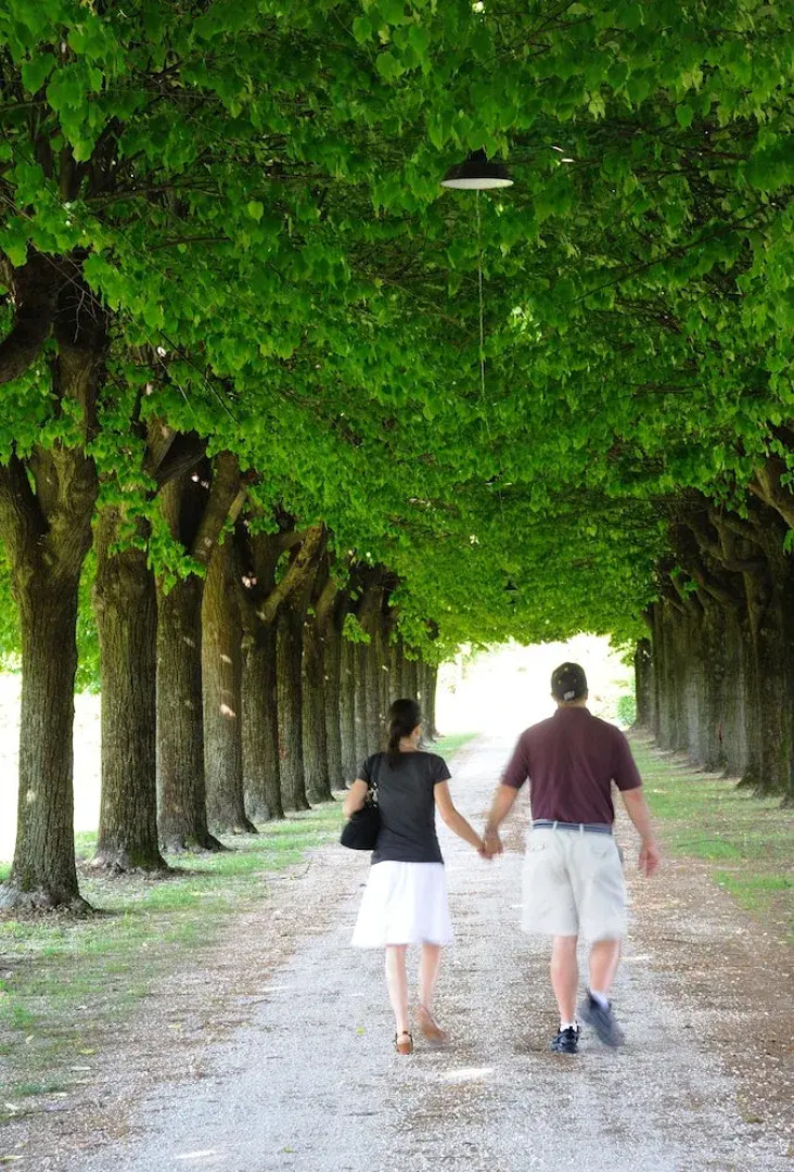 Villa Clementina, Prosecco Country Hotel