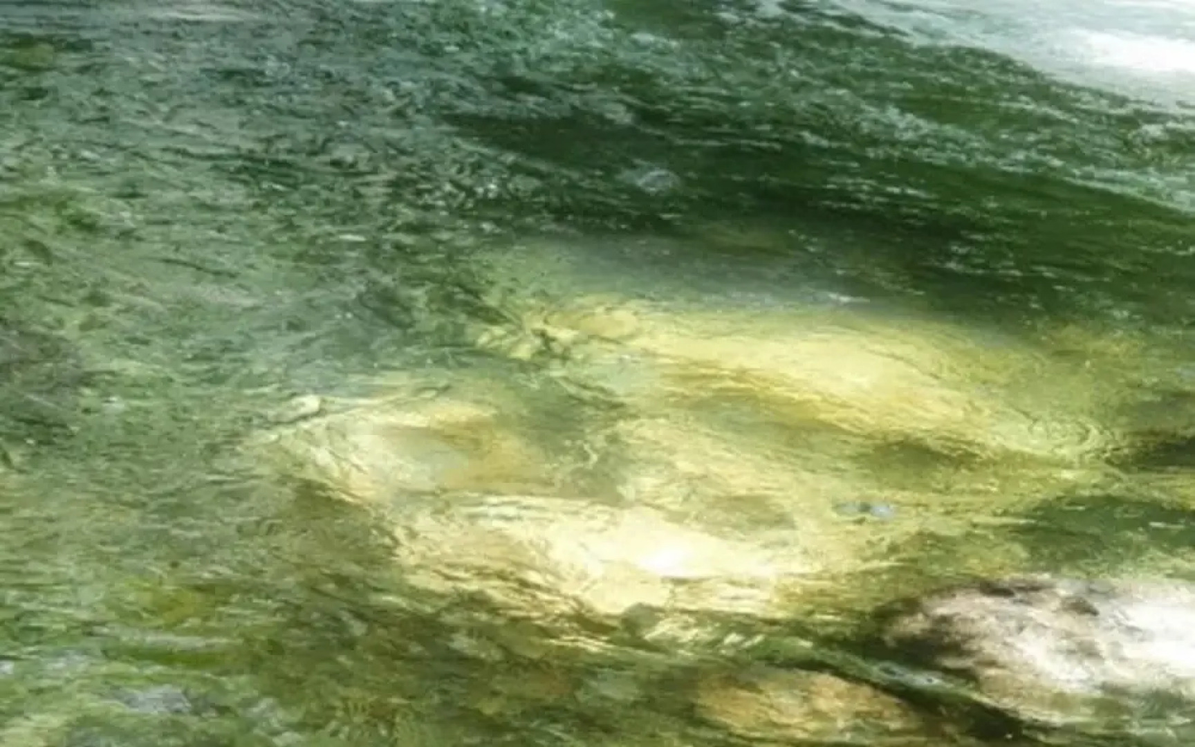 Yangpyeong Live Healing Pension