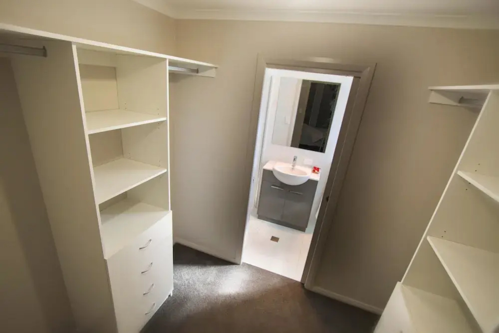 The Races - Swanport