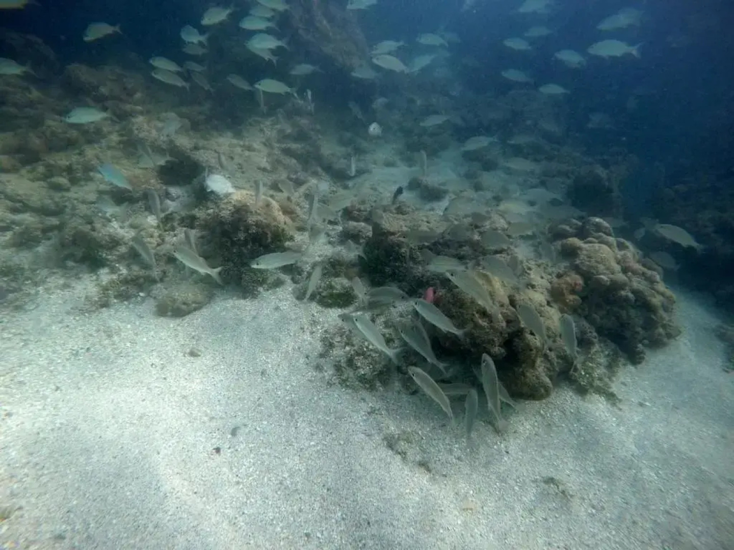 Pousada e Restaurante Encanto das Águas