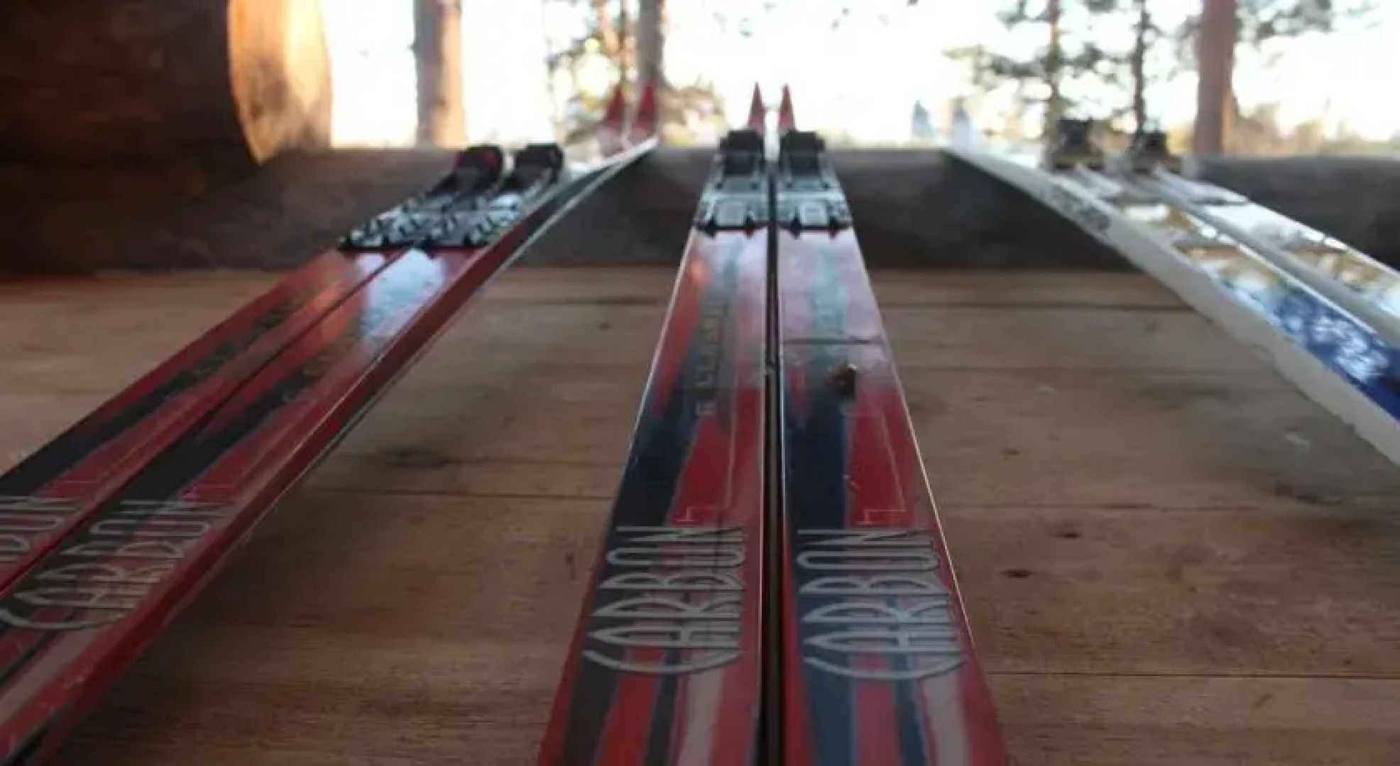 Сияние Севера