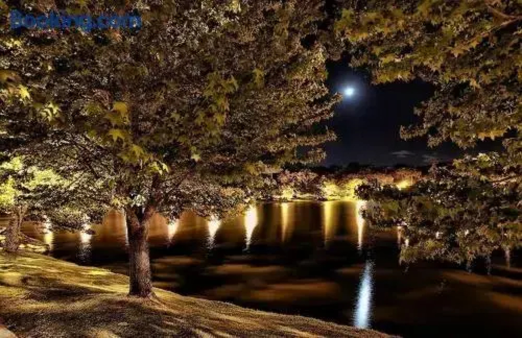 Hotel Cavalinho Branco