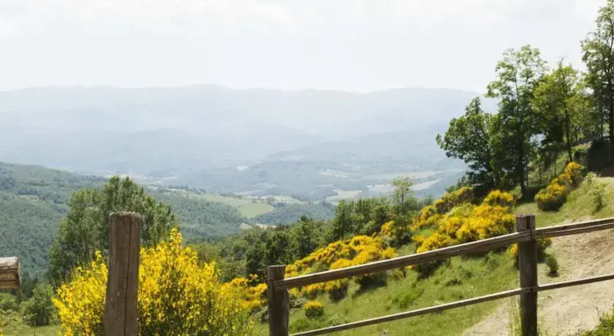 Le Selve di Vallolmo