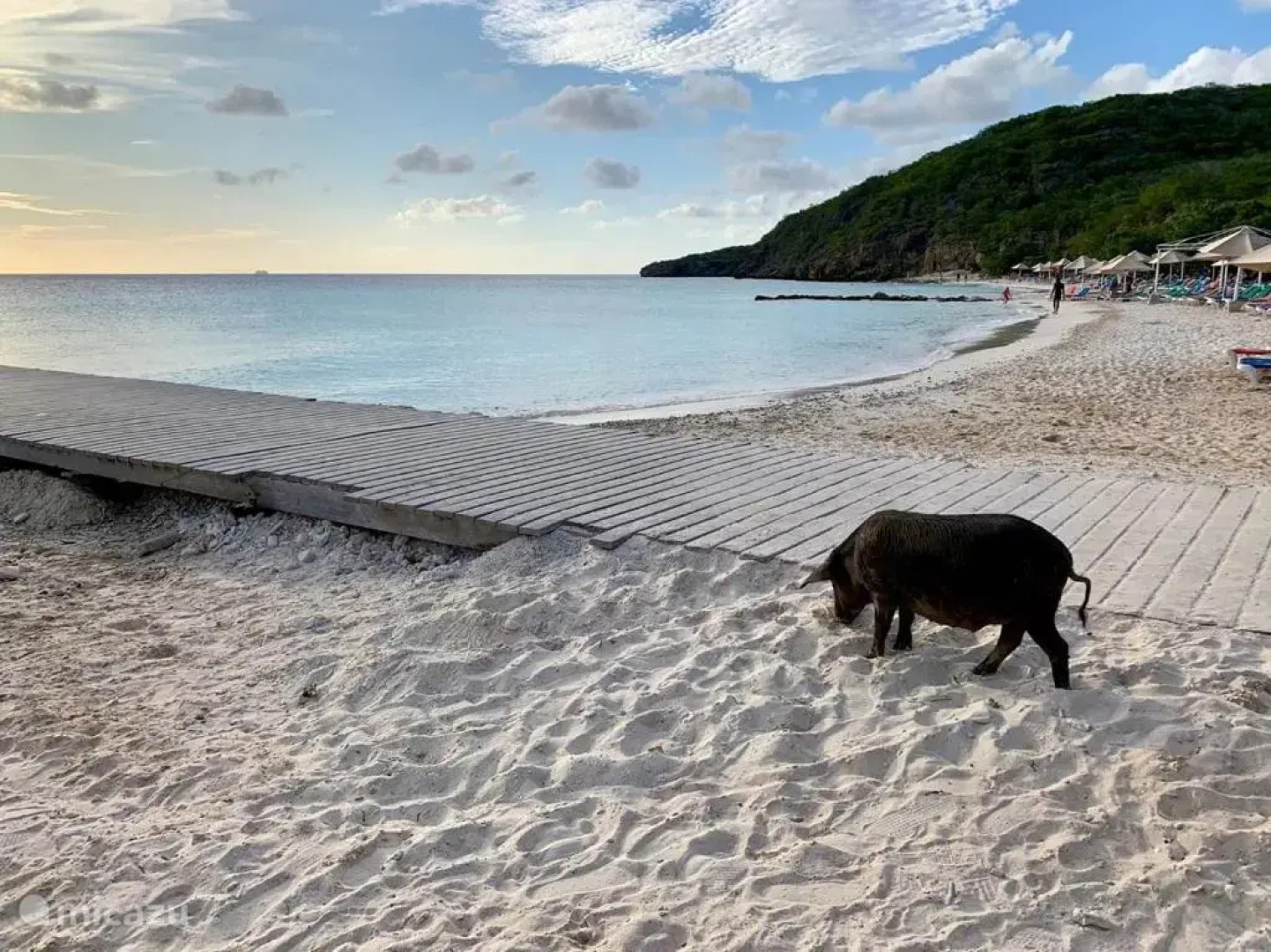 Luxury Villa, gated resort, 24/7 security, private pool, sea view.