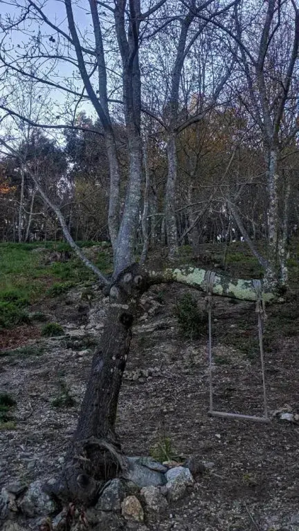 O Aconchego das Raízes