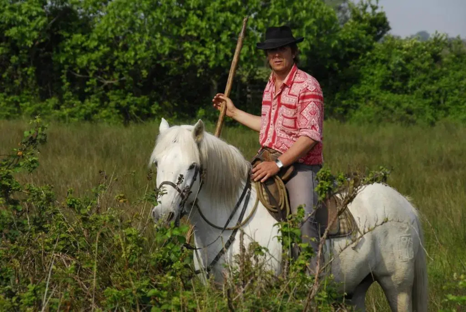 Manade Cavallini - Mas de Pioch