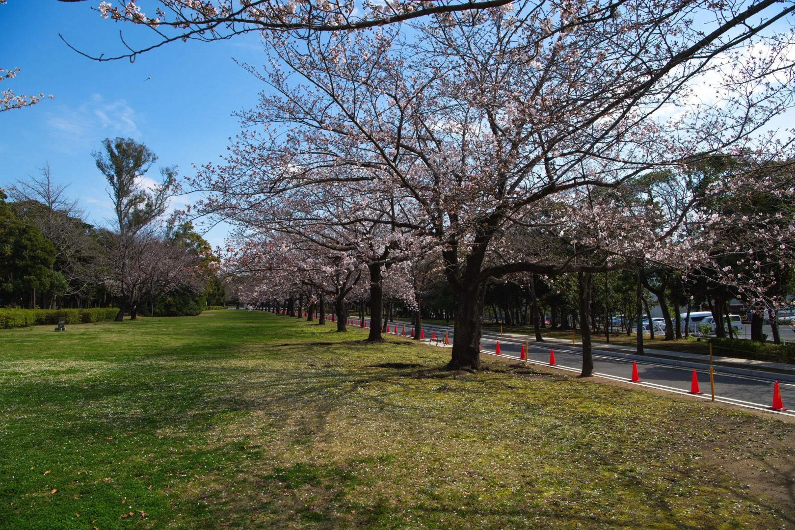 Tabist Daibo Ichihara Men Only