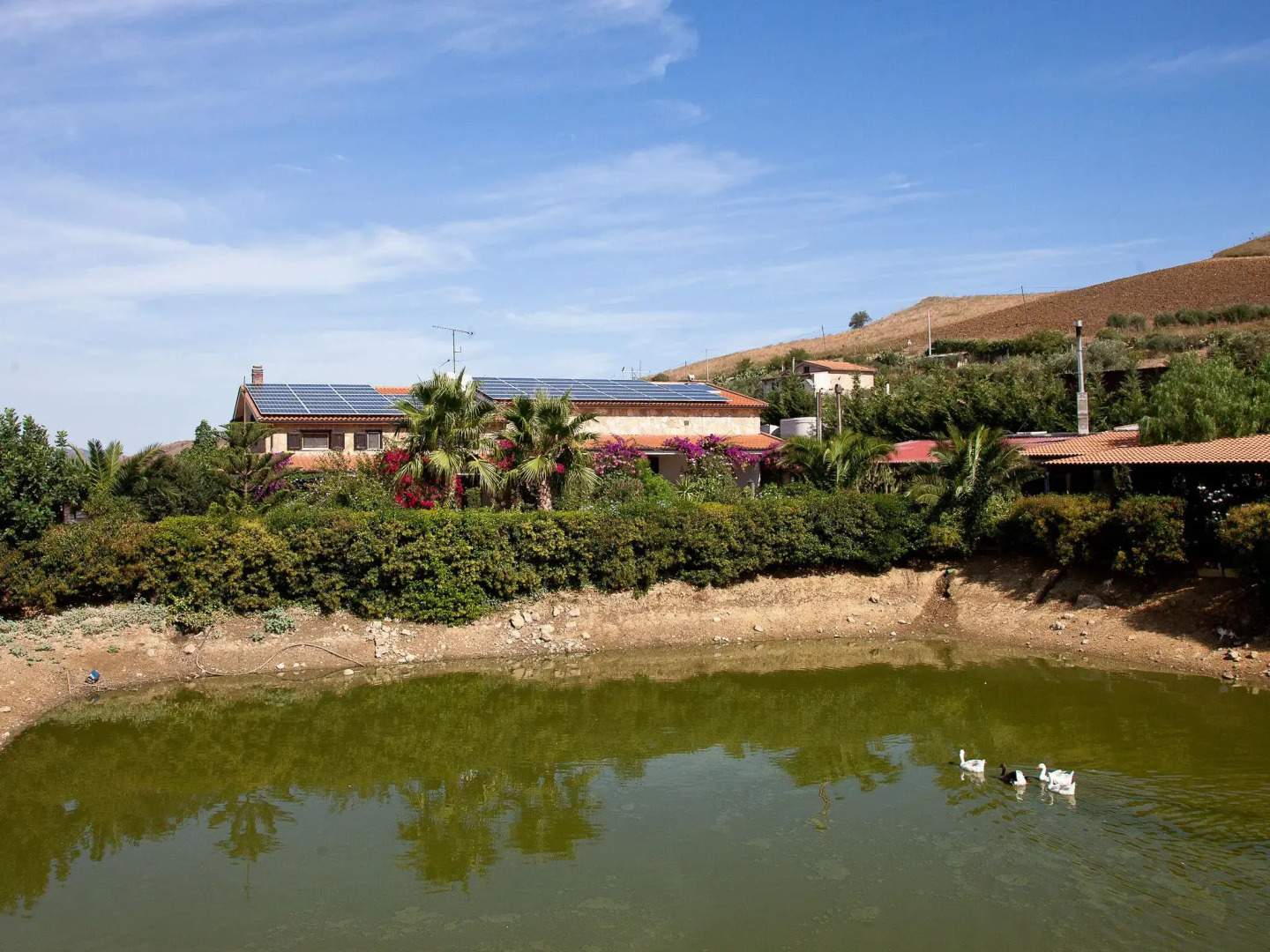 Villa in Alia With Pool & Olive Views