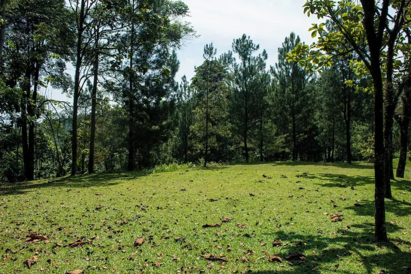 Pelangi Hotel at Artotel Pelangi Park