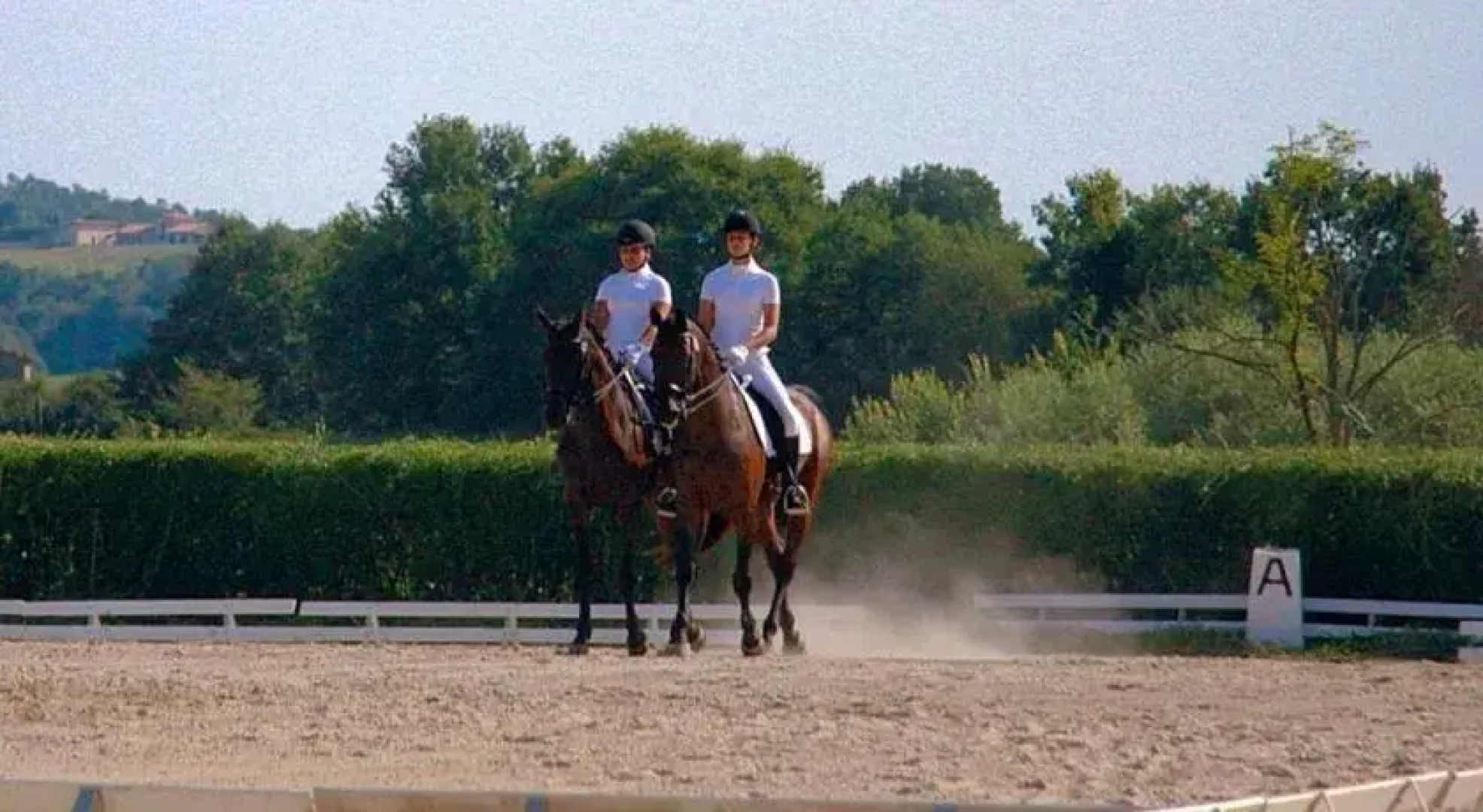 Cavallo Di Fiori - Agriscuderia