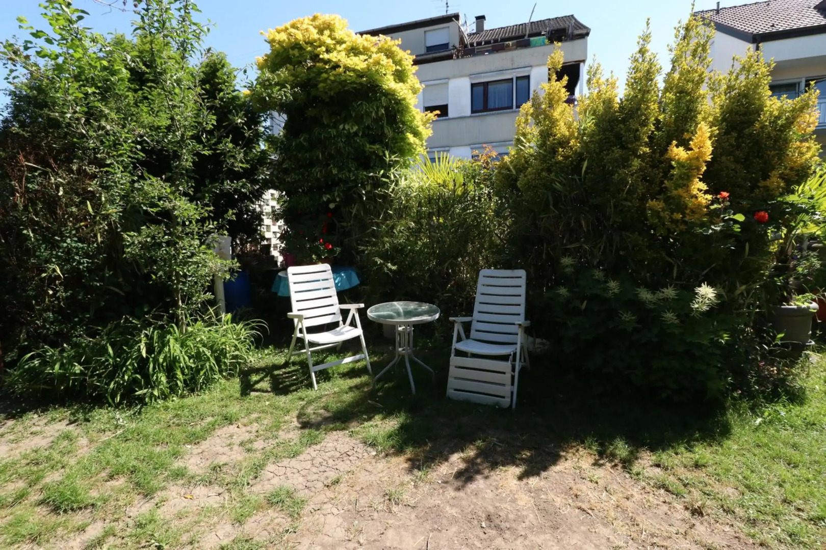 Ferienwohnung Roth in ruhiger Lage im Naturschutzgebiet am Bodensee Eriskircher Ried