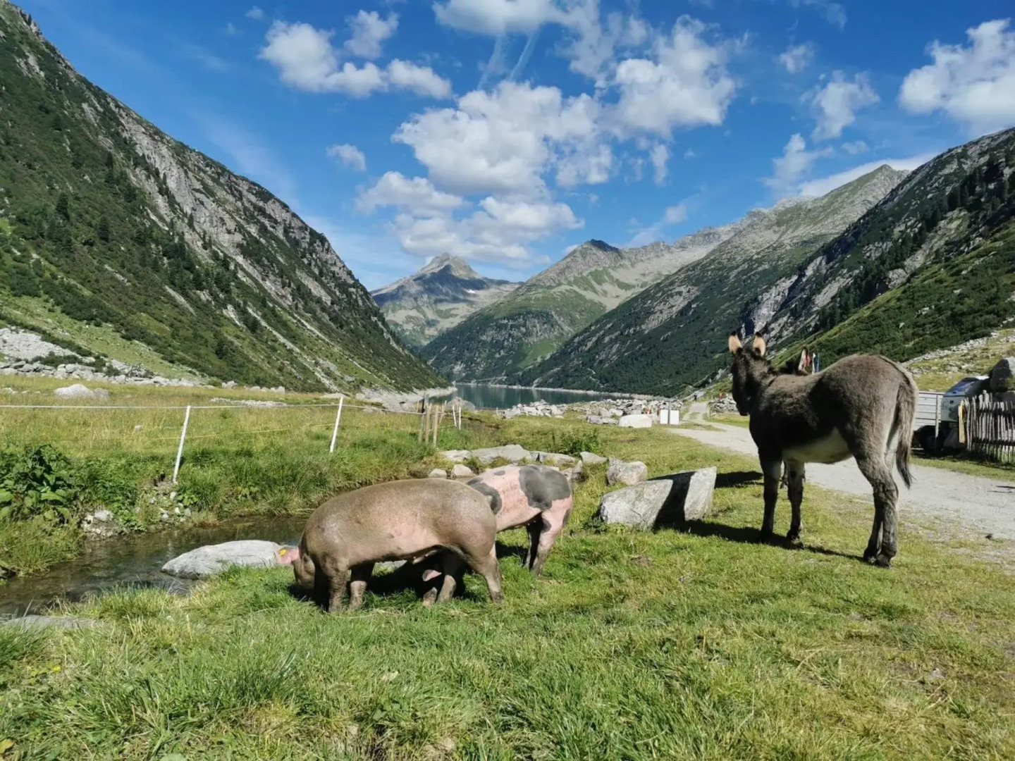 Zeit.Glück Appartements