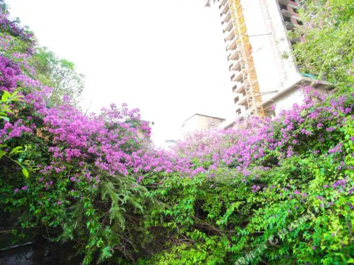 Dazhou Xuanhan Nanba Mintai Hotel