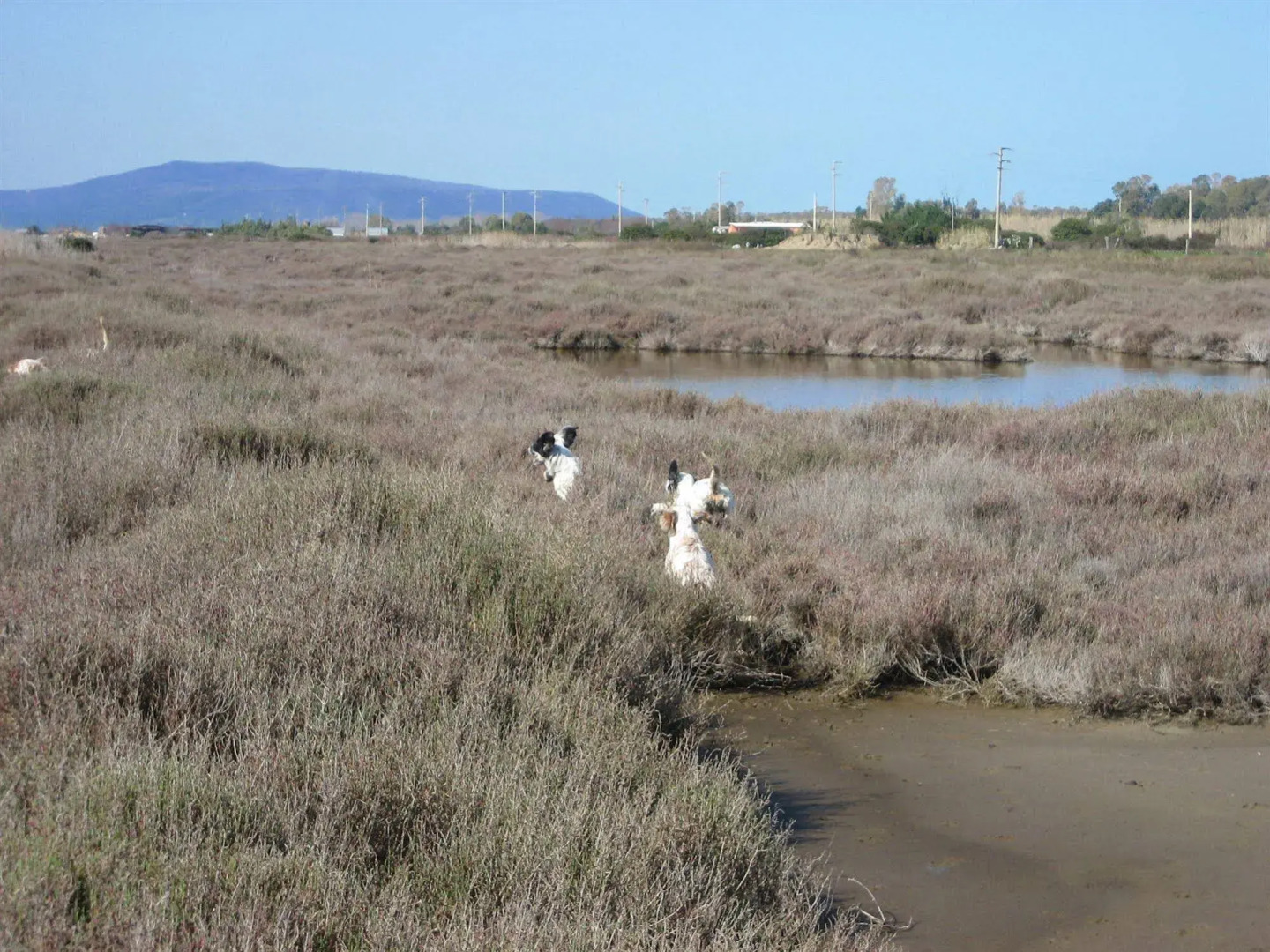 Albergo Residence Villa a Mare