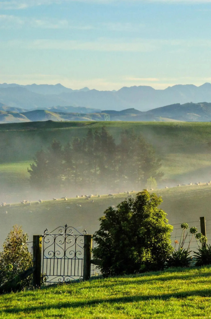 Ribbonwood Country House